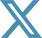 Styletech Twitter X Icon